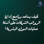 كيف يساعد برنامج إدارة الرواتب الشركات على أتمتة عمليات الموارد البشرية؟